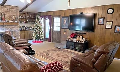 Living Room, 827 Silver Spruce St, 1