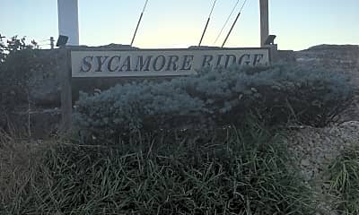 Sycamore Ridge, 1