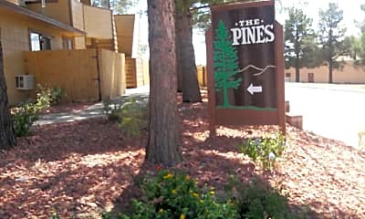 The Pines Apartments Alamogordo, 1