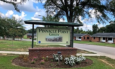 Pinnacle Point Green, 1