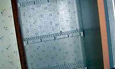 Hot Springs Beauty College Ar Houses For Rent 4 Houses Rent Com