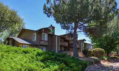 Jackson Ca Apartments For Rent - 46 Apartments Rentcom