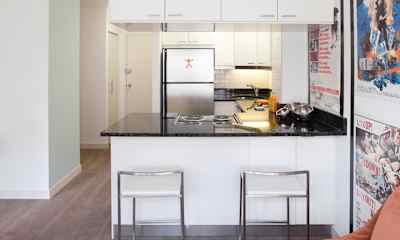 Chicago Apartments For Rent Apartments In Chicago Il Rent Com