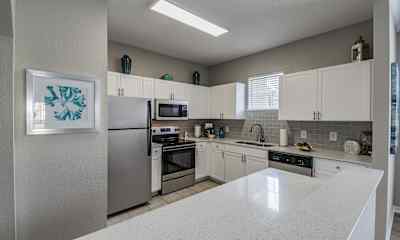 Citrus Park Fl Apartments For Rent 273 Apartments Rent Com