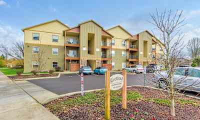 Albany Or Apartments For Rent 158 Apartments Rent Com