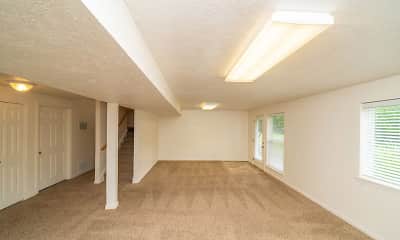 basement with carpet and natural light, Lynbrook Apartments, 2