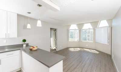 novato ca apartments for rent 460 apartments rent com