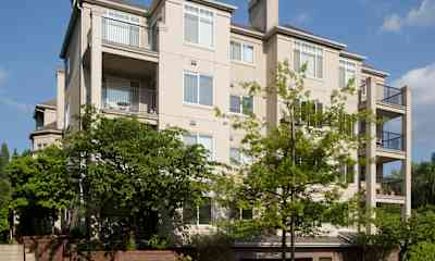surrey downs apartments for rent bellevue wa rent com