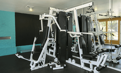 Fitness Weight Room, The Social, 2
