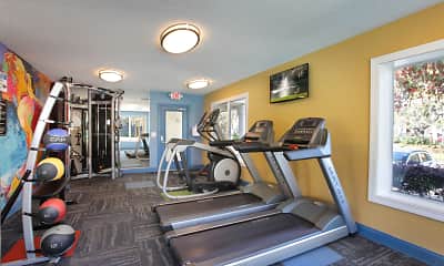 Fitness Weight Room, Agora at Port Richey, 0