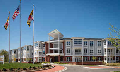 Waldorf Md Apartments For Rent 1164 Apartments Rent Com