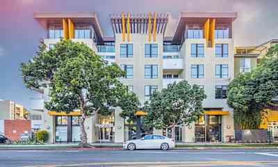 Santa Monica Ca Apartments For Rent 530 Apartments Rent Com