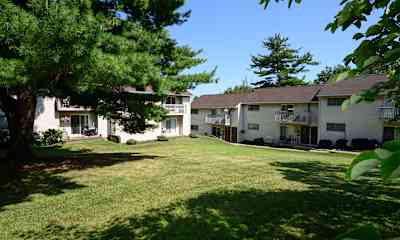 Mountain Top Pa Apartments For Rent 130 Apartments Rent Com