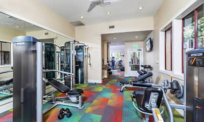 Fitness Weight Room, Ambrose, 2