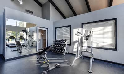 Fitness Weight Room, 3310 Apartment Homes, 2