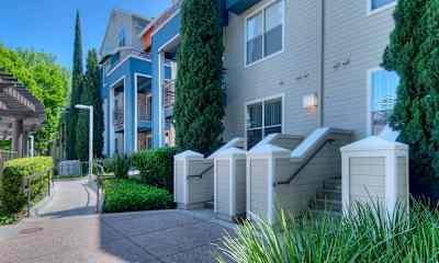 Cupertino Ca Apartments For Rent - 349 Apartments Rentcom
