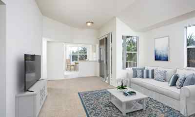 Fort Lauderdale Fl Apartments For Rent 505 Apartments Rent Com