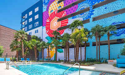 Emory University Ga Studio Apartments For Rent 40 Apartments Rent Com