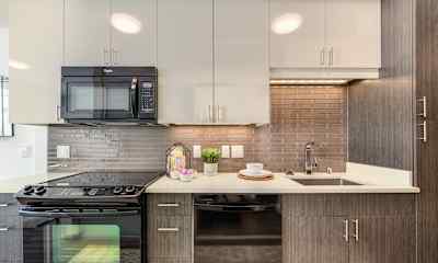 Seattle Wa 1 Bedroom Apartments For Rent 406 Apartments Rent Com