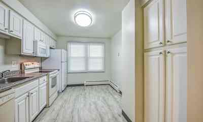 southington ct pet friendly apartments for rent 48 apartments rent com