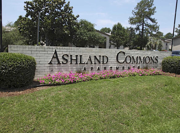 Ashland Commons Apartments For Rent Columbia Sc