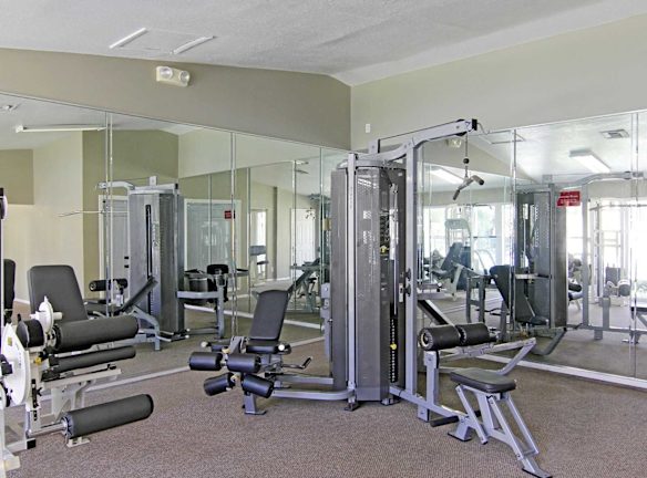 Preserve At Cedar River Apartments For Rent Jacksonville