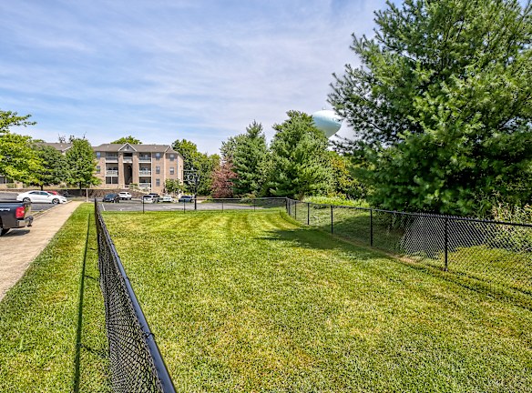 Georgetown Oaks Apartments For Rent Georgetown Ky