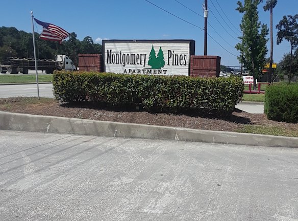 Montgomery Pines Apartments Porter, TX Apartments For