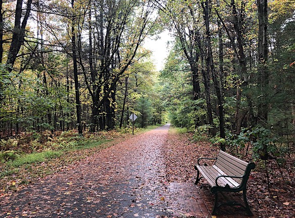 Bear Woods Apartments For Rent Canton Ct Rentals Com