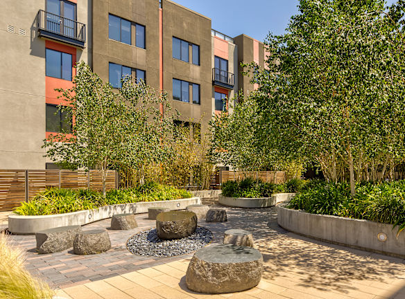 Levare At Santana Row Apartments For Rent San Jose, CA