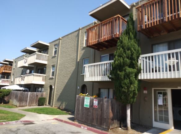 Light Tree Apartments East Palo Alto CA Apartments For Rent