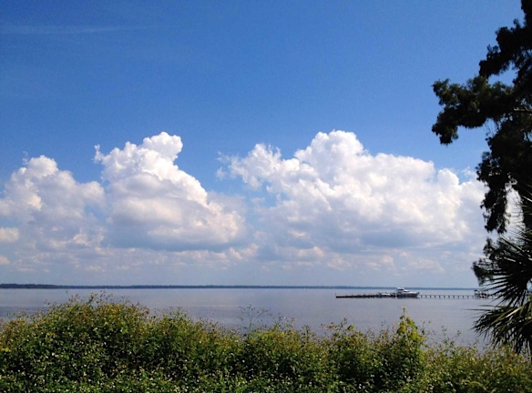 St Johns Landing Apartments For Rent Green Cove Springs