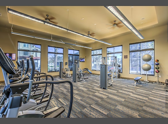 The Vineyards At Paseo Del Sol Apartments For Rent