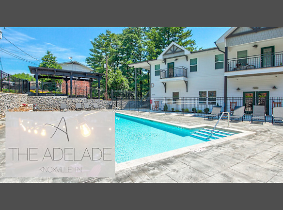 The Adelade Apartments For Rent Knoxville Tn Rentals Com