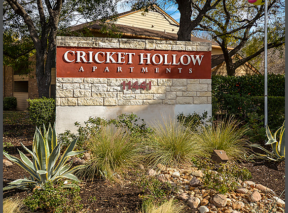 Cricket Hollow Apartments For Rent Austin Tx Rentals Com