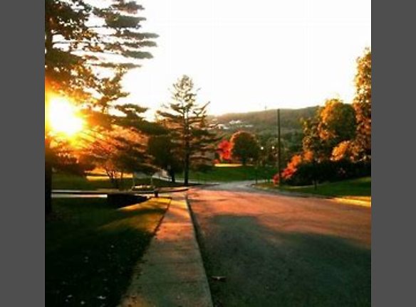 Tradewinds Terrace Apartments For Rent Traverse City Mi
