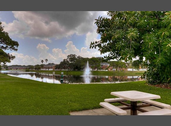 The Park At Treviso Apartments For Rent Saint Petersburg