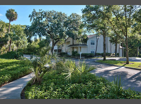 Tampa Woods Apartments For Rent Tampa Fl Rentals Com