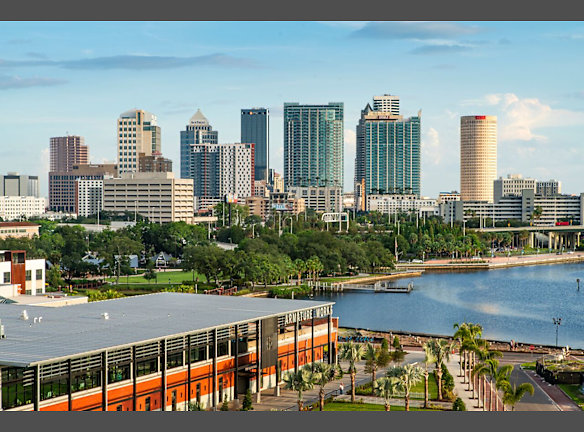 The Pearl Apartments For Rent Tampa Fl Rentals Com