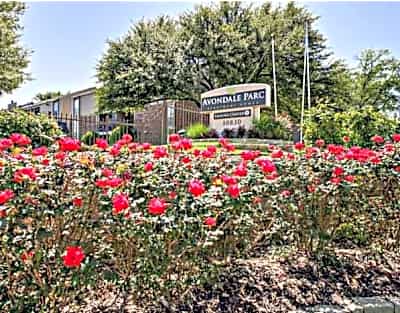 Avondale Parc Stone Canyon Road Dallas Tx Apartments