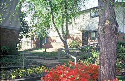 Plum Tree Pine Tree Court Memphis Tn Apartments For