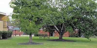 The Colony Of Springdale Kenilworth Court Springdale