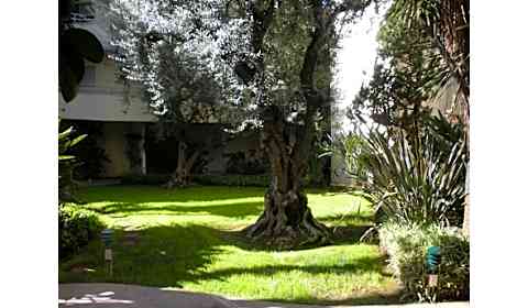 Encino Voltaire White Oak Avenue Encino Ca Apartments