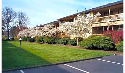 Chestnut Place Se 31st Place 45 Milwaukie Or