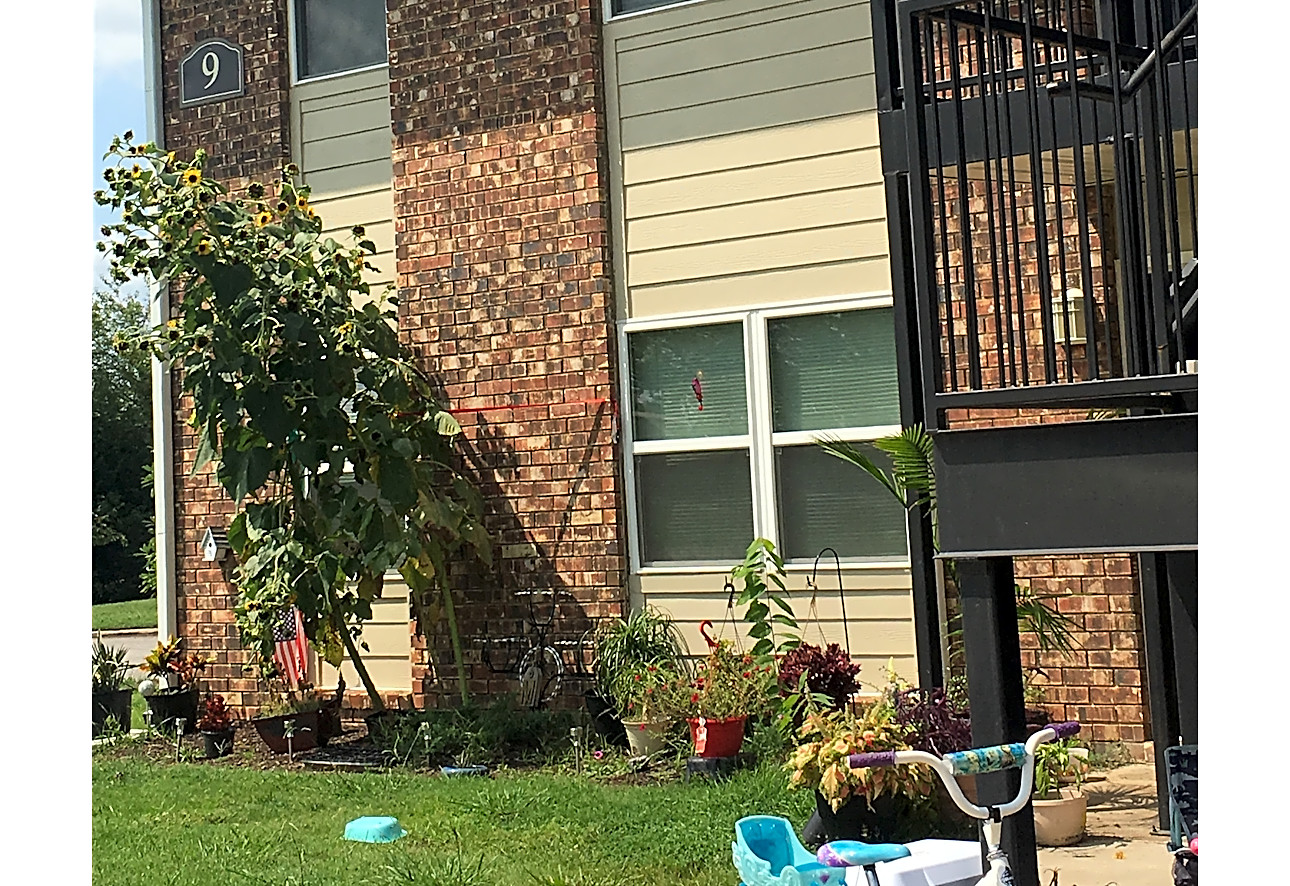 Meadow Park Apartments - Rogers, AR 72762