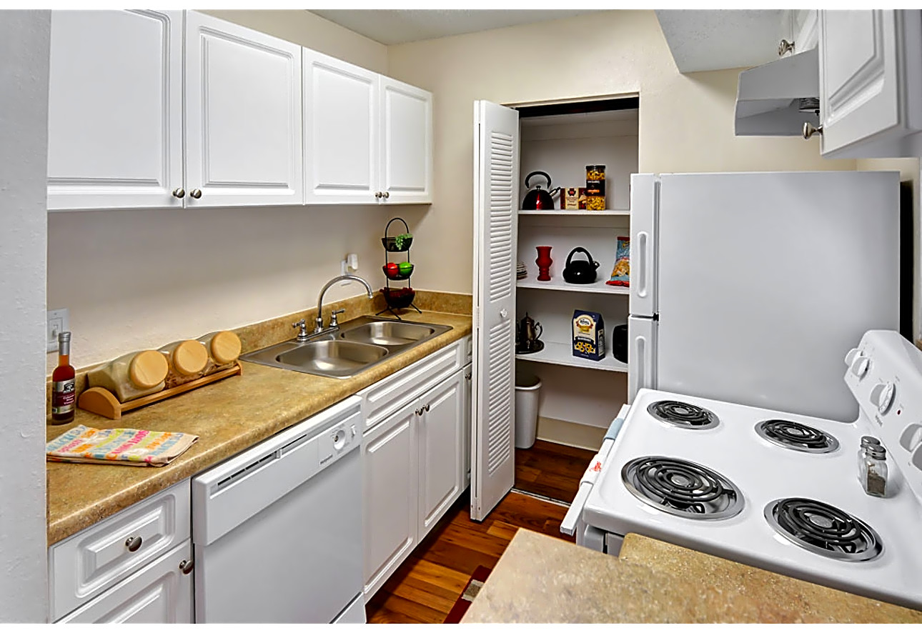 Beach Club Apartments - Tampa, FL 33614