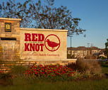 Red Knot at Edinburgh, Southeastern Elementary School, Chesapeake, VA