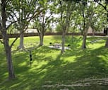 view of local wilderness featuring an expansive lawn, Cibola Village