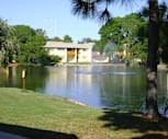 Tarponwood Lake, 34689, FL