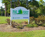 Pine Forest, Evensville, TN